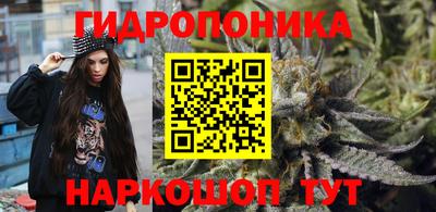 дмт Кандалакша