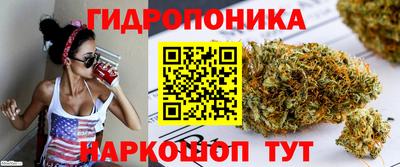 ешки Волжск