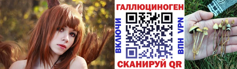 blacksprut сайт  наркотики  Егорьевск  Псилоцибиновые грибы Psilocybine cubensis 