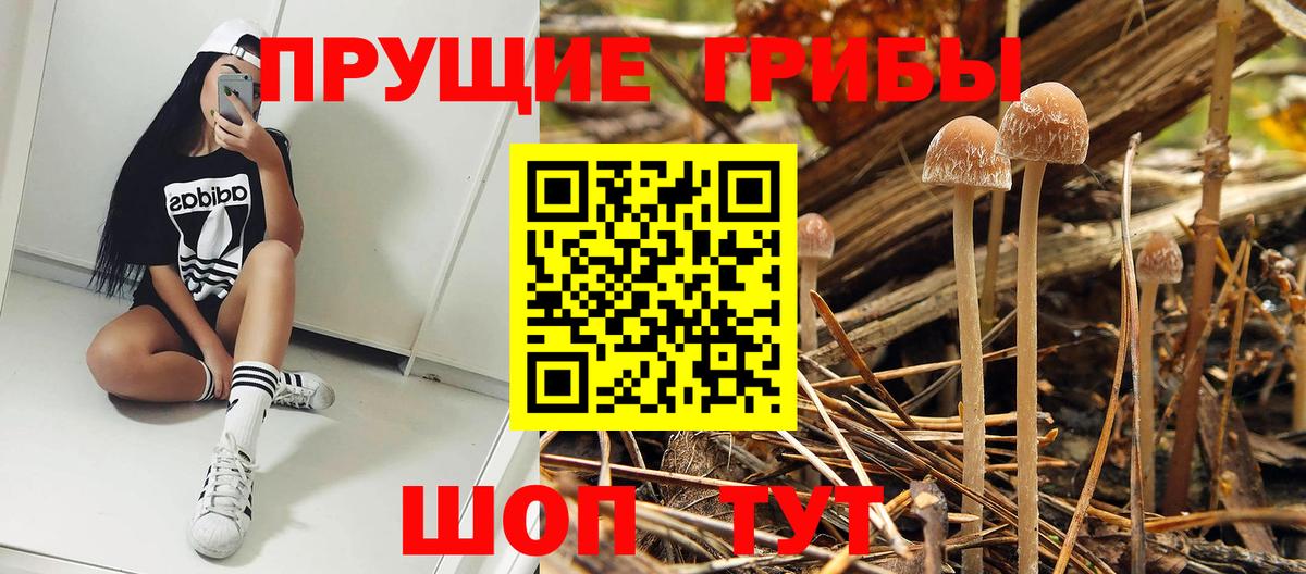 Галлюциногенные грибы мицелий  Галлюциногенные грибы мухоморы  купить наркотики цена  Егорьевск 