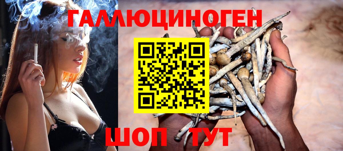 Псилоцибиновые грибы Cubensis Егорьевск