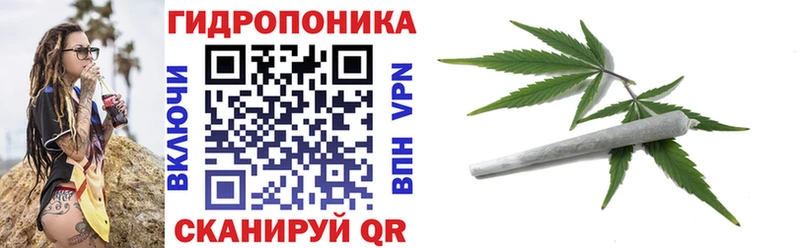 Бошки Шишки семена  Егорьевск 
